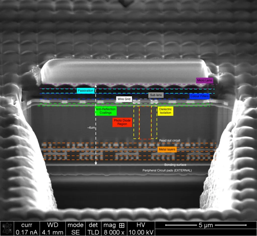 Scanning electron micrograph of a Sony IMX219PQ sensor cross-section with annotated layers and a 5 micrometre scale bar.